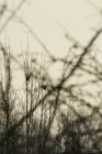 ADL_010511