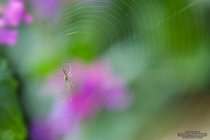ADL_022273