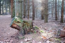 ADL_004737