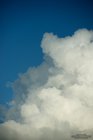 ADL_043869