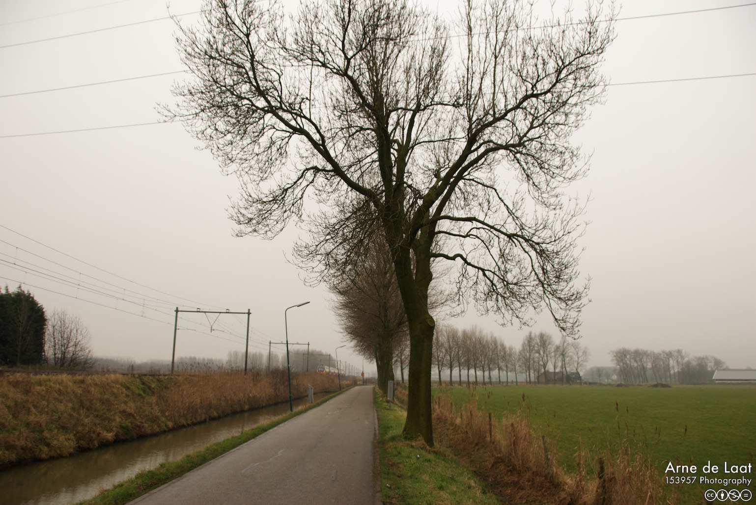 DSC_51719    081218 133025