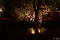 APL_004118