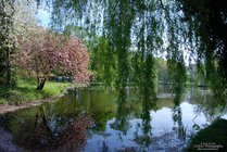 DSC_12101