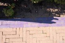 ADL_115425